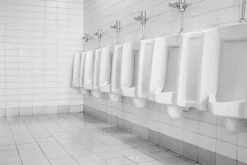 BiOHY WC-Reiniger (50x10l Kanister) | EXTRA STARK | Profi Bio Konzentrat | Dickflüssiges Reinigungs-Gel | Ideal Gegen Urinstein -Geschäft Für Haushaltsreinigungsprodukte 41ca5c58 9de1 46d3 82ce bb42edbcfcc8