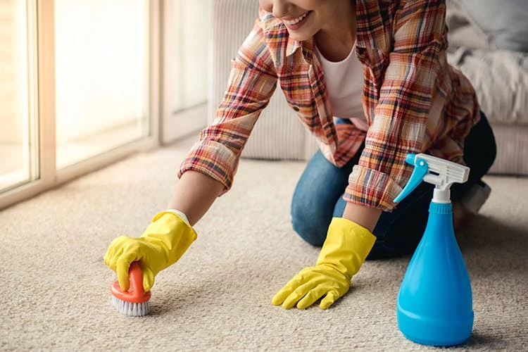 BiOHY Teppichshampoo (480x1l Flasche) | Teppichreiniger Ideal Zur Entfernung Von Hartnäckigen Flecken | SPEZIELL FÜR WASCHSAUGER ENTWICKELT 9 BiOHY Teppichshampoo (480x1l Flasche) | Teppichreiniger Ideal Zur Entfernung Von Hartnäckigen Flecken | SPEZIELL FÜR WASCHSAUGER ENTWICKELT – Bild 7